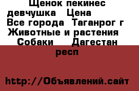 Щенок пекинес девчушка › Цена ­ 2 500 - Все города, Таганрог г. Животные и растения » Собаки   . Дагестан респ.
